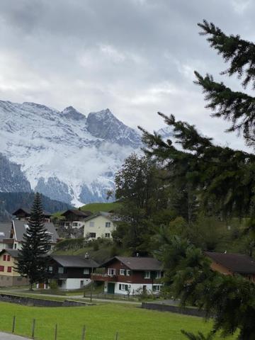 Luxury Family Apartment Engelberg Exterior photo